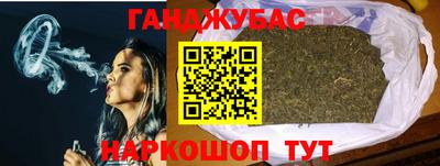 сатива Краснознаменск