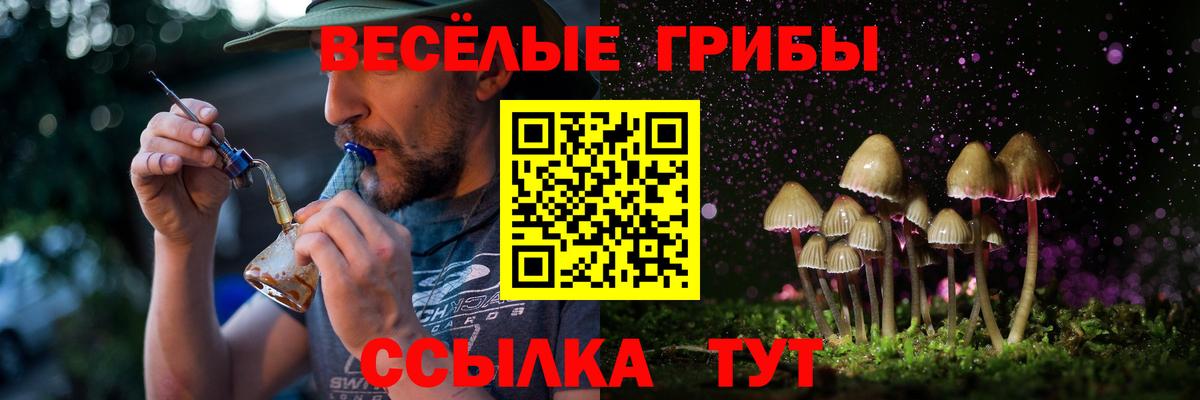 Галлюциногенные грибы прущие грибы Касимов